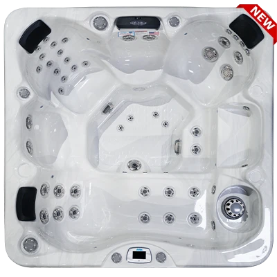 Costa-X EC-749LX hot tubs for sale in Blaine