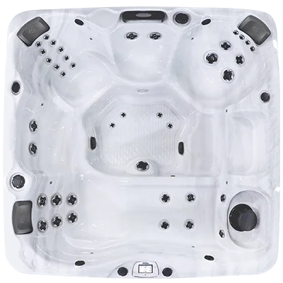 Avalon-X EC-840LX hot tubs for sale in Blaine